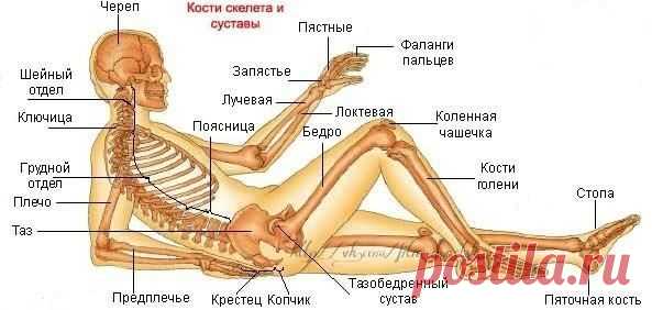 Новости