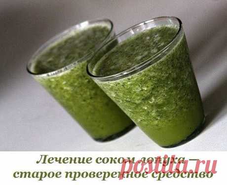 Лечение соком лопуха — старое проверенное средство