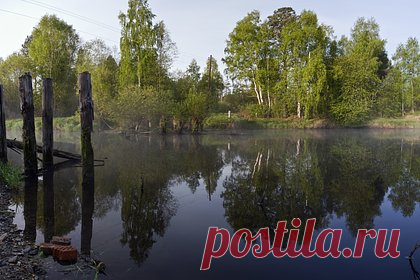 Берег реки Тагил очистили от мусора. Юные натуралисты Нижнего Тагила провели субботник и очистили от мусора берег реки Тагил. Как уточняет портал TagilCity.ru, за несколько часов участникам субботника удалось собрать восемь кубометров отходов. К уборке территории, организованной городской Станцией юных натуралистов, было привлечено порядка 70 человек.