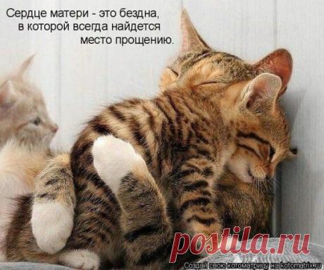 Интересные новости