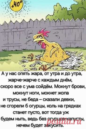 Выпуск №6518 - выпуск анекдотов сайта вокруг смеха