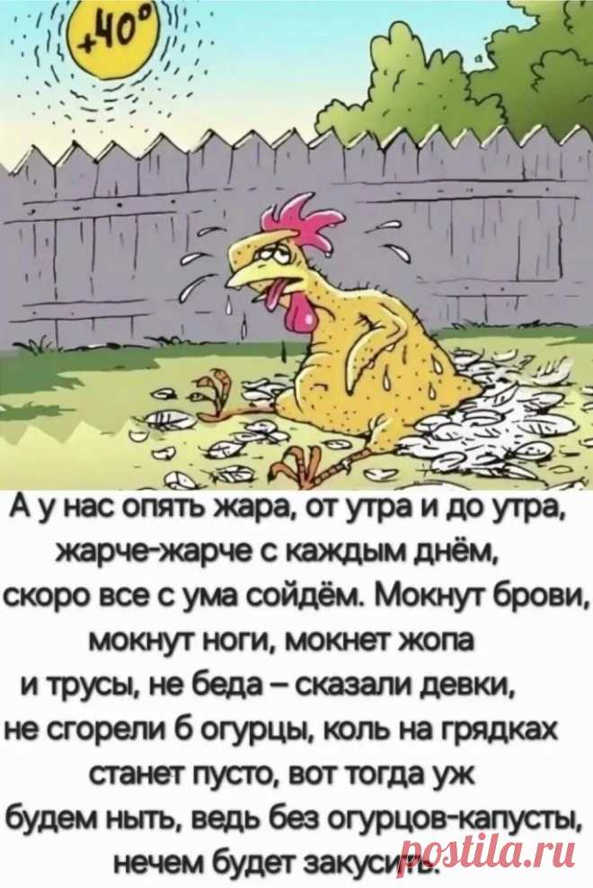 Выпуск №6518 - выпуск анекдотов сайта вокруг смеха