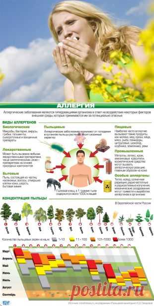 Опасная весна. Как справиться с аллергией на пыльцу | Здоровая жизнь | Здоровье | Аргументы и Факты