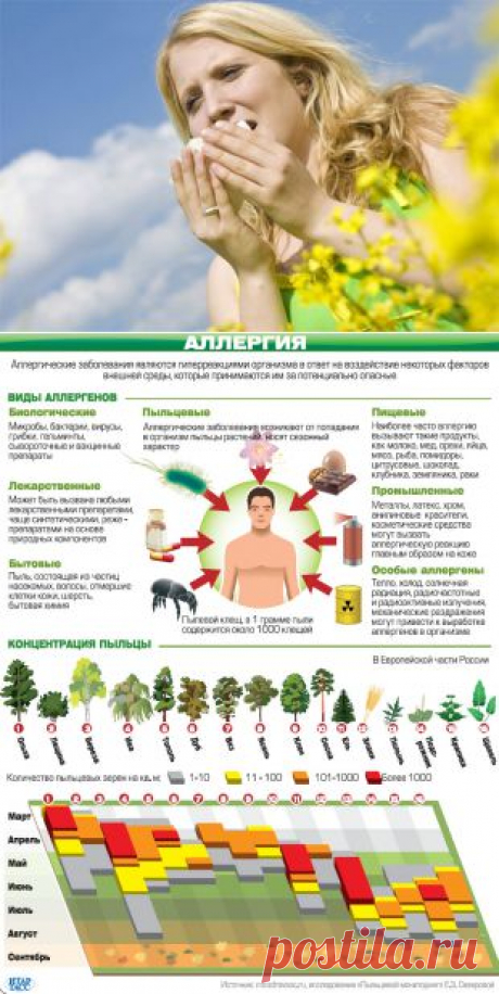 Опасная весна. Как справиться с аллергией на пыльцу | Здоровая жизнь | Здоровье | Аргументы и Факты