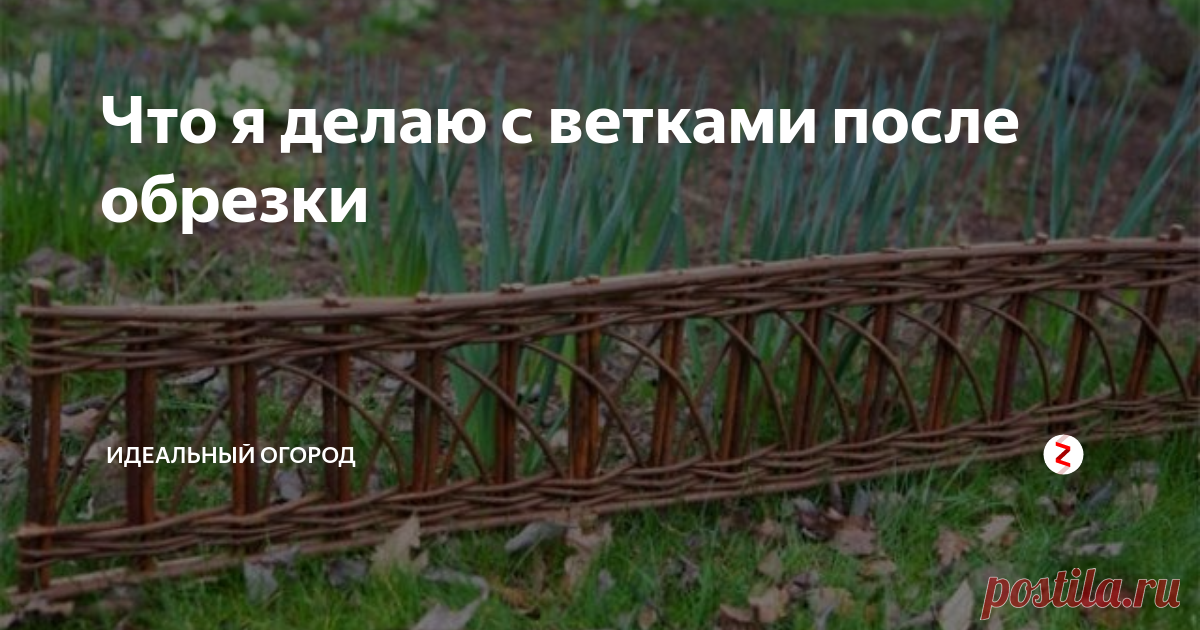 Что я делаю с ветками после обрезки Растения подлежат процедуре обрезания до 3 раз за сезон. Как правило, отсеченные части выбрасываются или сжигаются, но можно их использовать для создания большого количества вещей.