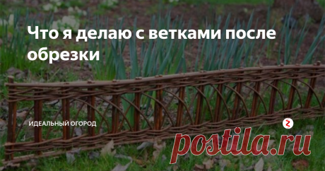 Что я делаю с ветками после обрезки Растения подлежат процедуре обрезания до 3 раз за сезон. Как правило, отсеченные части выбрасываются или сжигаются, но можно их использовать для создания большого количества вещей.