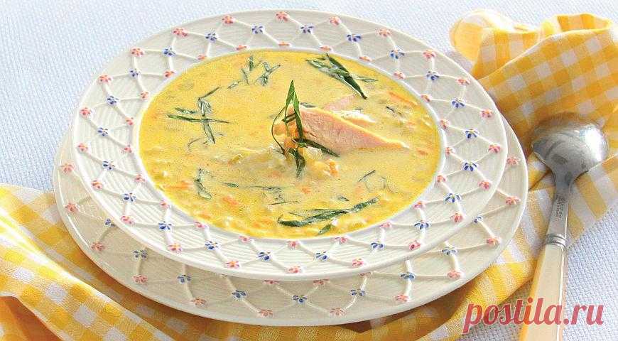 Нежный рисовый суп с курицей и базиликом