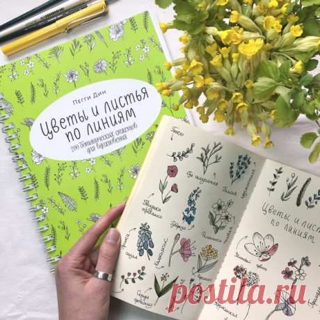 Наконец можем показать вам пухленький сборник «Цветы и листья по линиям». Да, рисовать можно прямо в книге! В ней целых 200 уроков по рисованию растений и цветов. Каждый представленный рисунок можно использовать и как центральный объект картины, и как элемент декора (для обрамления записей, открыток или даже как основу-контур для выжигания). Мы попробовали перенести рисунки в скетчбук и добавить немного акварели. Повторяйте, учитесь или просто медитируйте страница за страницей. ⠀Заходите по…