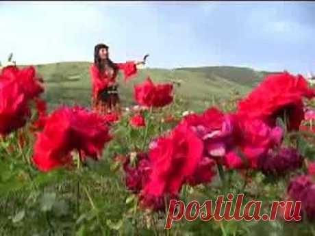 ILEANA RUS-SATRA - YouTube