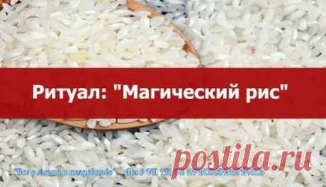 Ритуал: "Магический рис"
===================
Мощный ритуал на исполнение желаний и исцеление с помощью риса.
Результат не заставит себя долго ждать.
Тайно от всех и домашних каждый день проделывайте магический ритуал.
Необходимо обернуть чистую небольшую стеклянную банку (100-250г) темной тканью и закрыть пластмассовой крышкой, спрятав ее в укромном месте.
Один раз в сутки(лучше утром)следует достать банку и опустить в неё 7 недробленых зерен риса,приговаривая по очереди:
- Первое зернышко приба