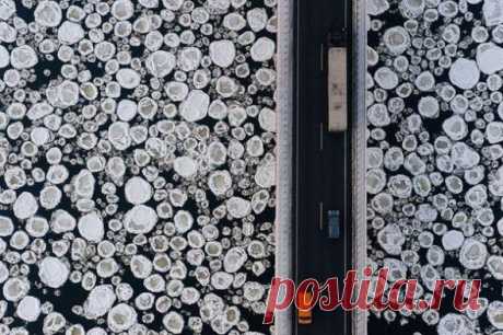 25 удивительных фотографий, от которых мурашки по коже