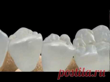 Прорив у стоматології: нові зуби можна виростити в будь-якому віці просто у роті пацієнта | Добрий лікар