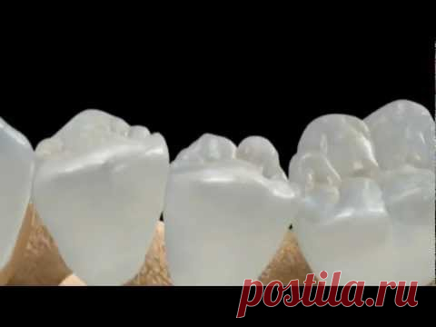 Прорив у стоматології: нові зуби можна виростити в будь-якому віці просто у роті пацієнта | Добрий лікар