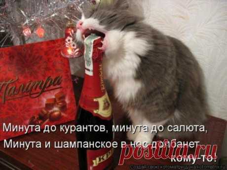 Котоматрицы на Новый год / Питомцы