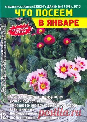 Мир журналов