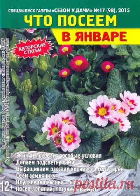 Мир журналов
