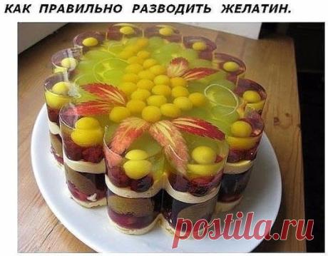 Как правильно разводить желатин
Развести желатин не сложно - растворить его в холодной воде, далее долить жидкость до нужного объёма и подогреть. 
ОЧЕНЬ ВАЖНО ПОМНИТЬ:
1. Важно соблюдать пропорции - иначе может получиться резиновое изделие:
20 грамм желатина + 1 литр воды = дрожащее желе
40-60 грамм желатина + 1 литр воды = желе, которое режется ножом
2. Нельзя желатин кипятить, в этом случае он теряет все свои свойства и не придаст блюду нужную консистенцию.
3. Нельзя остужать желатиновую смес