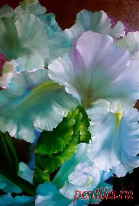 Love This Iris Beautiful