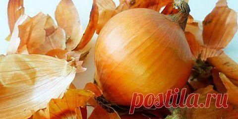 ОБ УНИКАЛЬНЫХ СВОЙСТВАХ ЛУКОВОЙ ШЕЛУХИ | Эксклюзив