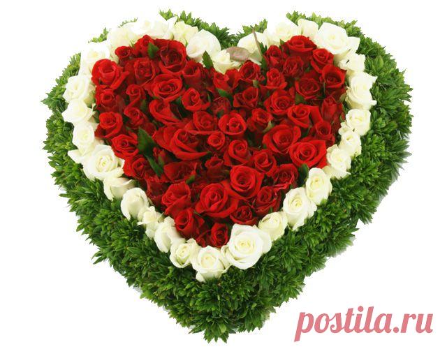 цветочное сердце из роз: 30 тыс изображений найдено в Яндекс.Картинках