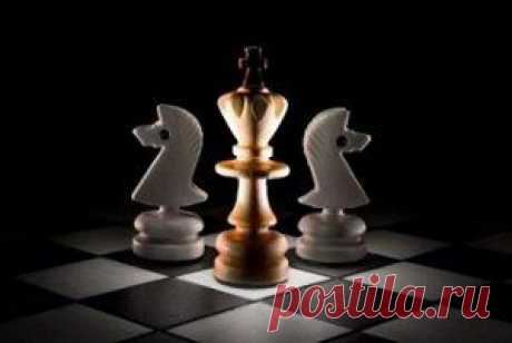 Какова бы ни была ваша проблема, ее причина кроется в вашем стереотипе мышления, а любой стереотип можно изменить.