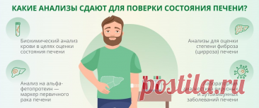 Врач ответила на вопрос - как проверить печень: какие изменения в анализах могут указать на проблемы в органе | О здоровье: с медицинского на русский | Дзен