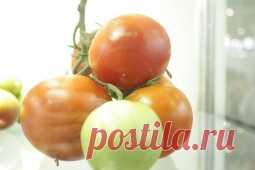 КАК ПРАВИЛЬНО ЗАМОРАЖИВАТЬ ОВОЩИ НА ЗИМУ - Садоводка