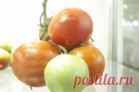 КАК ПРАВИЛЬНО ЗАМОРАЖИВАТЬ ОВОЩИ НА ЗИМУ - Садоводка