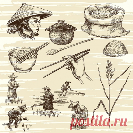 Польза рисовой воды - Разговоры на любые темы