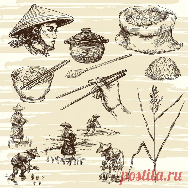 Польза рисовой воды - Разговоры на любые темы