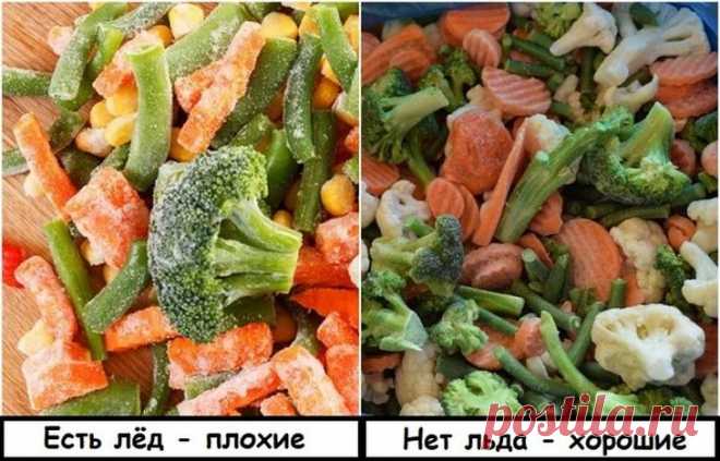 Полезные советы, как проверить качество продуктов