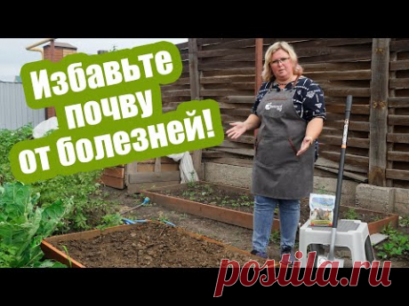 Как обеззаразить почву от болезней?! 4 средства для любого огорода!