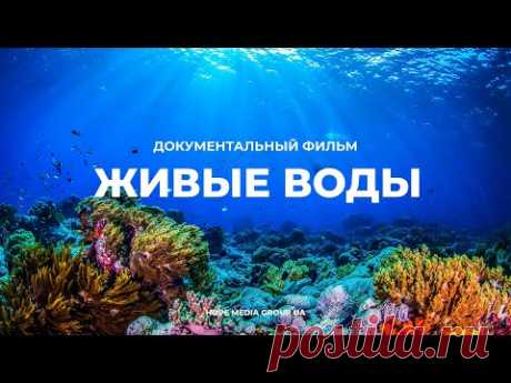 Живые воды. Разумный замысел в океанах Земли. Документальный фильм | Мифы эволюции