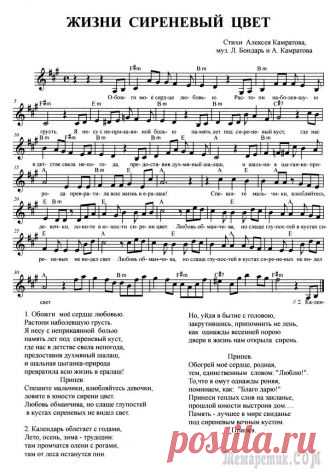 Жизни сиреневый цвет (Стих) (песня для молодых людей)Расстреляй моё сердце любовью.Растопи наболевшую грусть.Я несу с неприкаянной больюпамять лет под сиреневый куст,где нас в детстве свела непогодапредоставив духмяный шалаш,и ш...