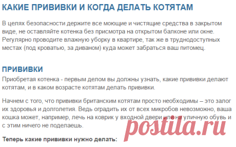 Какие прививки делают котятам, когда котятам британцам делать прививки, первая прививка котенку, прививки шотландским котятам, поведение котенка после прививки | Кошки - кто они?