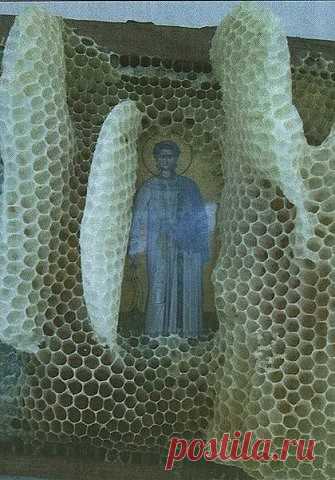 Лучшее из лучшего!