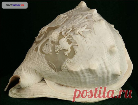 Резьба на морских раковинах
