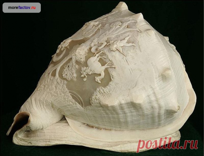 Резьба на морских раковинах