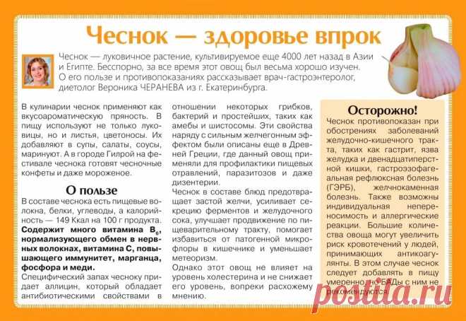 Чеснок - здоровье впрок