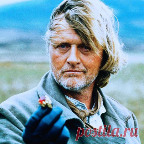 Рутгер Хауэр
