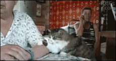 Кто молодец? Я молодец!!!