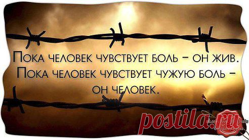 (77) Одноклассники