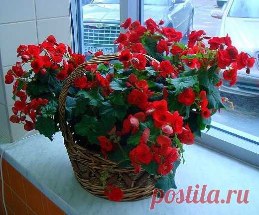 Самопознание Здоровье Красота