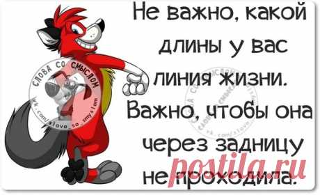 Веселая правда жизни в словах со смыслом