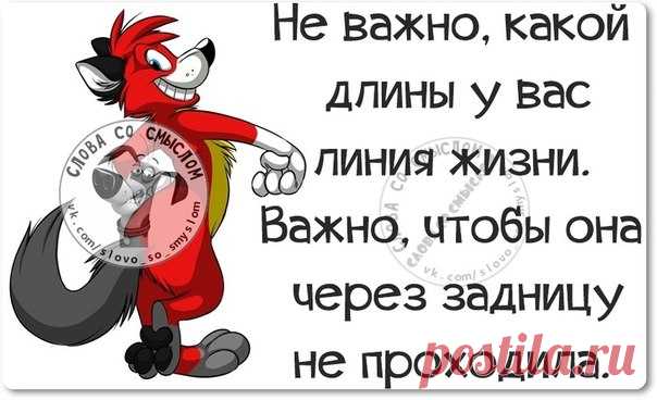Веселая правда жизни в словах со смыслом