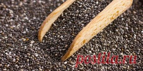 Почему семена чиа едят все, кто хочет быть здоровым