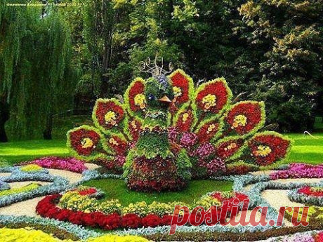 хх