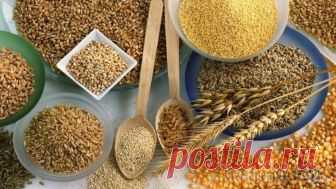 Продукты, которые богаты клетчаткой Рассуждая о клетчатке, на ум приходят различные диеты и правильное питание. Такие ассоциации появились не просто так: клетчатка играет важнейшую роль в жизнедеятельности организма. Именно поэтому важн...
