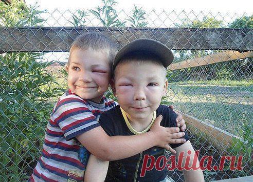 Когда дедушка пчеловод )))