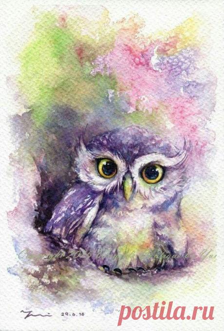 "Сальвадор"-ARTстудия(идеи, творчество, подарки)